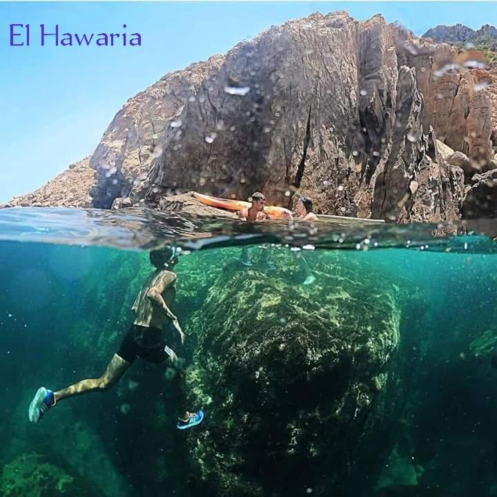 Residence Aquilaria Dar Narjes El Haouaria Eksteriør billede