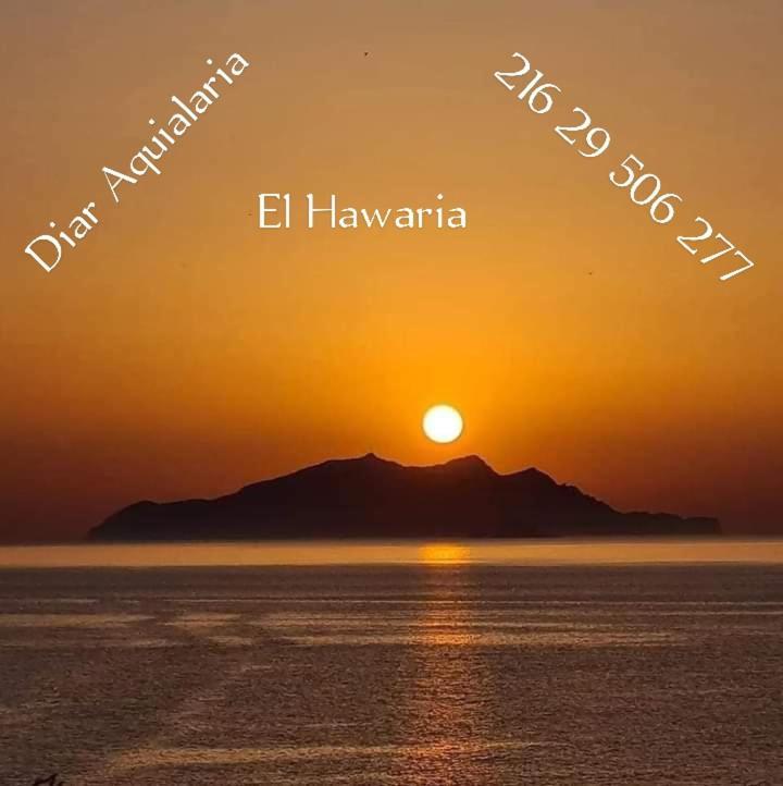 Residence Aquilaria Dar Narjes El Haouaria Eksteriør billede