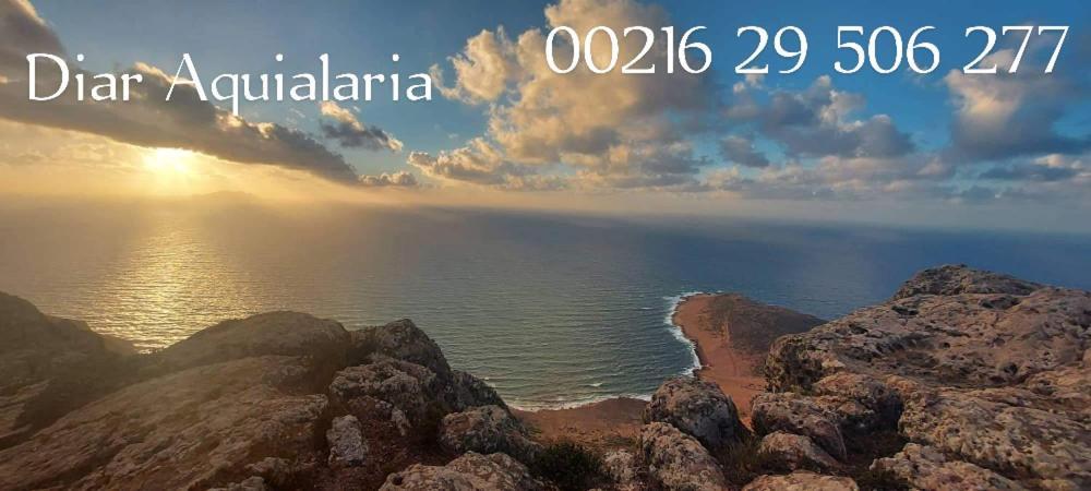 Residence Aquilaria Dar Narjes El Haouaria Eksteriør billede
