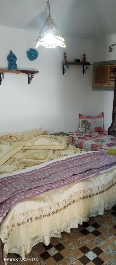 Residence Aquilaria Dar Narjes El Haouaria Eksteriør billede